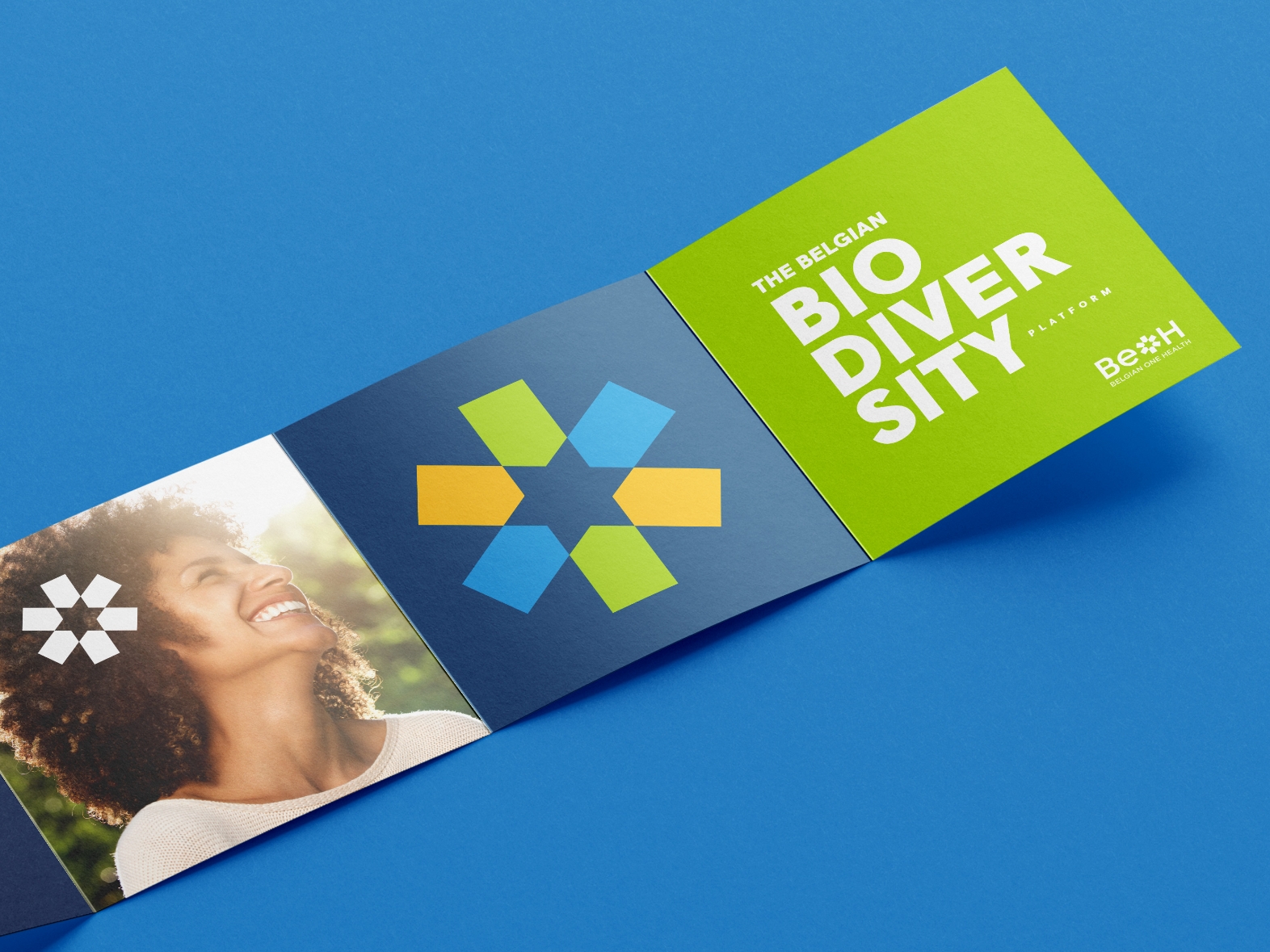 BEOH - Belgian One Health - Identité visuelle - Logo - Identité graphique - Charte graphique - Environnement - Ecologie - Economie - Periskop - Agence de communication - Studio graphique - Sciensano - Dépliant