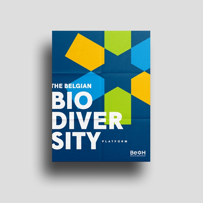 BEOH - Belgian One Health - Identité visuelle - Logo - Identité graphique - Charte graphique - Environnement - Ecologie - Economie - Periskop - Agence de communication - Studio graphique - Sciensano - 7