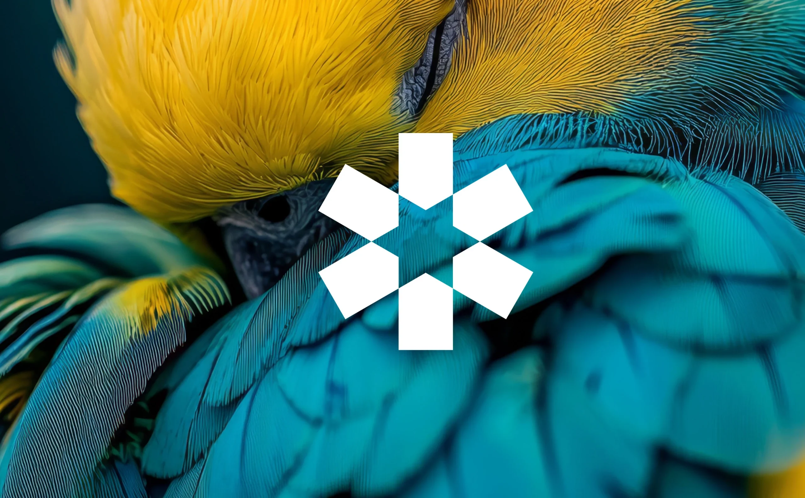 BEOH - Belgian One Health - Identité visuelle - Logo - Identité graphique - Charte graphique - Environnement - Ecologie - Economie - Periskop - Agence de communication - Studio graphique - Sciensano - 7