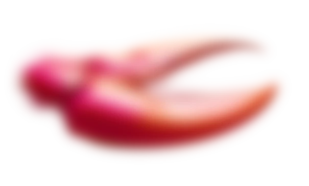 Pince homard floue