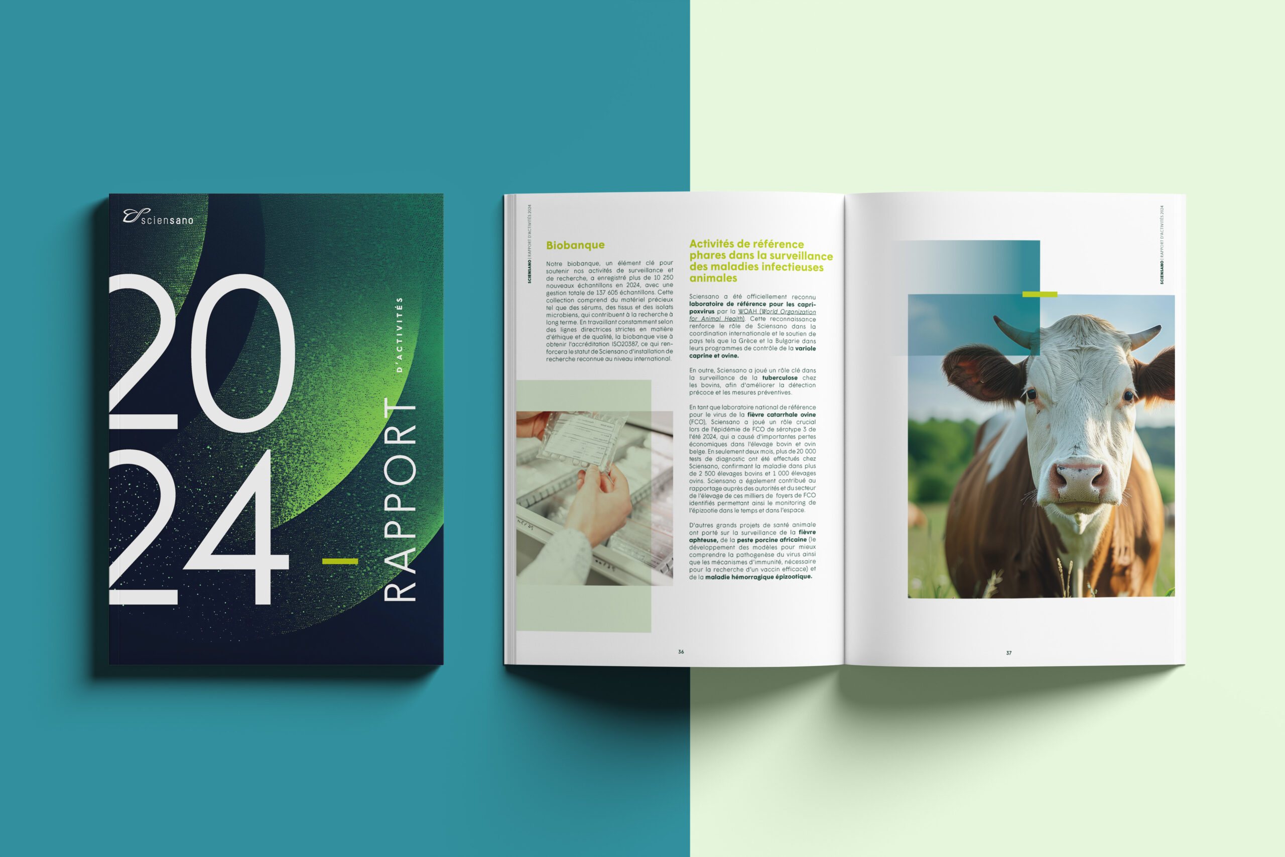 Sciensano - Economie - Science - Ecologie - Graphisme - Periskop - Agence de communication - Studio graphique - Rapport annuel - 4