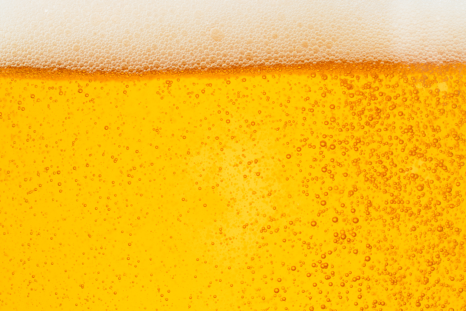 BPC Liège - Création d'une étiquette de bière - Periskop