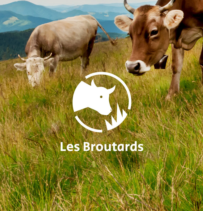 Création d'un logo et d'une identité visuelle pour le projets "Les Broutards" - Periskop